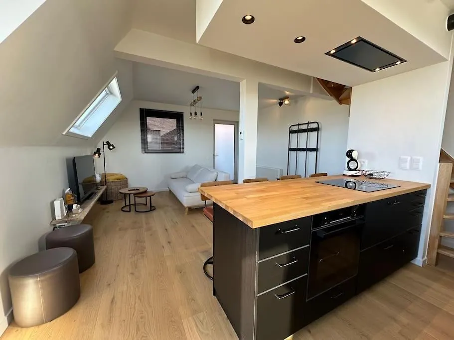 Vakantie Duplex Couverme Nieuwpoort