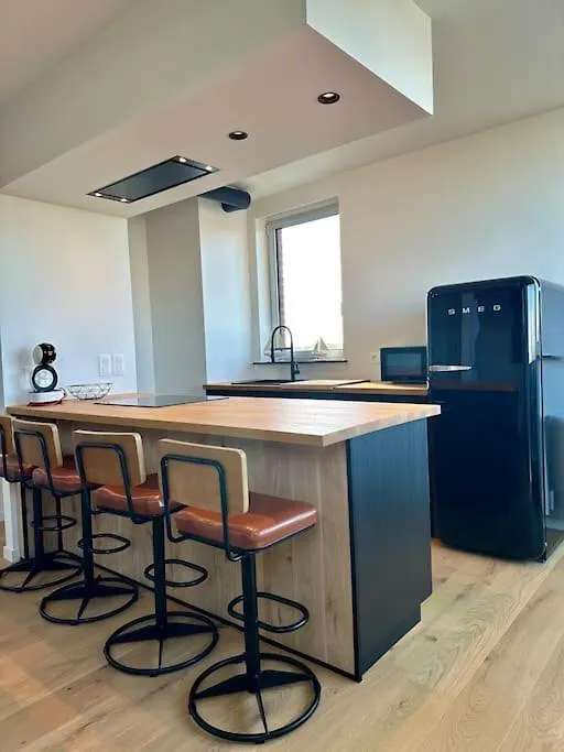 Vakantie Duplex Couverme Nieuwpoort 0*,